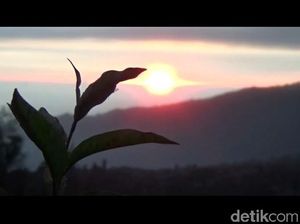 Ini Spot Lain Wisatawan Nikmati Sunrise dan Gunung Bromo Batuk