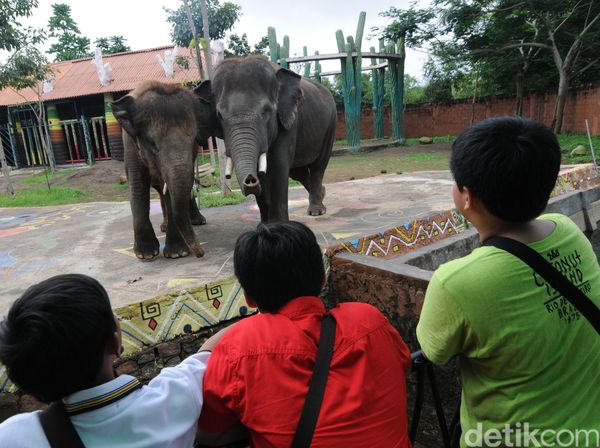 Musim Libur Batu Zoo Park Dipadati Wisatawan