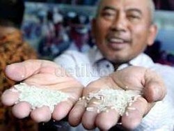 Mei: Masyarakat Diresahkan Peredaran Beras Plastik