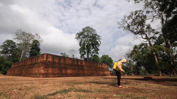 Seorang pekerja Balai Pelestarian Cagar Budaya Jambi menyemprotkan cairan racun rumput di halaman Candi Kedaton di Kompleks Percandian Muaro Jambi, Jambi, Jumat (1/1). Penyemprotan racun rumput dilakukan minimal sebulan sekali guna menjaga kebersihan kawasan kompleks yang telah ditetapkan oleh Kementerian Pendidikan dan Kebudayaan sebagai kawasan cagar budaya nasional tersebut. ANTARA FOTO/Wahdi Septiawan/nz/16.