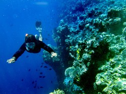 Ternyata 99 Persen Dasar Laut Belum Dijelajahi, Ini Faktanya