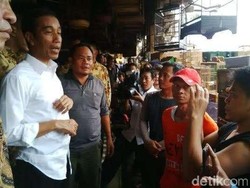 Jokowi Lepas 190 Burung dari Pasar Pramuka di Kebun Raya Bogor