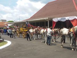 4 Gajah dan 30 Kuda Dilibatkan di Kirab Ageng Jumenengan Paku Alam X