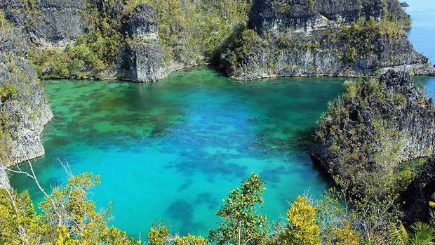 Keindahan-keindahan Raja Ampat yang Bikin Mata Tak Berkedip