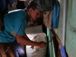 Diumpan Anak Ayam, Ini Penampakan Kepala Kobra yang Diburu di Kelapa Dua Depok