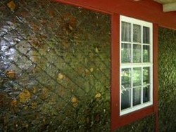 Cuma di AS, Rumah Terbuat dari Kertas Koran