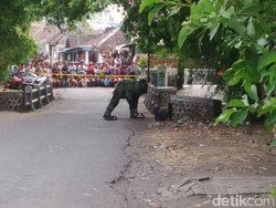 Tas Warna Biru Diduga Bom Bikin Geger Warga Pasuruan