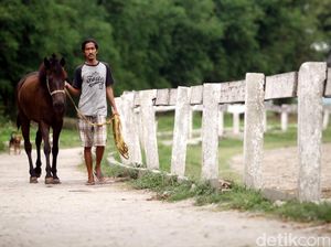 Kawasan Pacuan Kuda Pulomas Ditertibkan untuk Persiapan Asean Games 2018