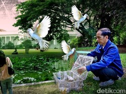 Jokowi Lepaskan 190 Burung di Kebun Raya Bogor, Apa Dampaknya?