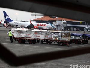 Rencana Kaji Ulang Aturan Tarif Bagasi Pesawat Belum Jelas Rencana Kaji Ulang Aturan Tarif Bagasi Pesawat Belum Jelas