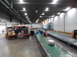 Saran untuk Pemerintah Akhiri Polemik Bagasi Berbayar