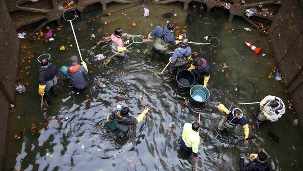 Kanal St-Martin di Paris Dikuras