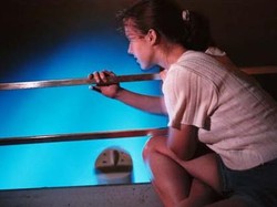 Teluk di Puerto Rico yang Selalu Menyala Saat Malam