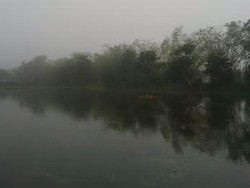 Lamongan Berselimut Kabut Pekat Akibat Uap Bumi