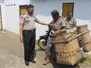 Demi Kebutuhan Hidup, Kakek ini Curi Rebung