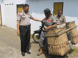 Demi Kebutuhan Hidup, Kakek ini Curi Rebung