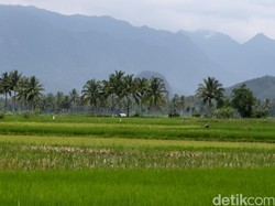 Nusron Tegaskan Siapa Saja yang Lakukan Alih Fungsi Lahan Sawah Bisa Dibui!
