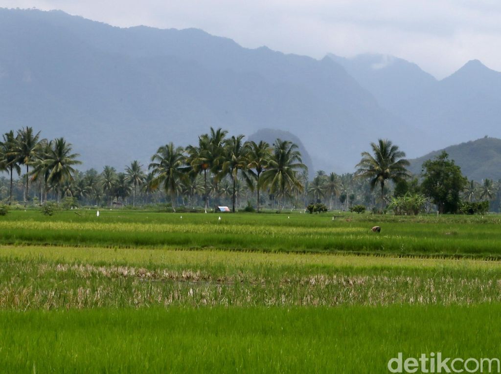 Rincian Data Lahan Pertanian Karawang Nihil, DPRD Kritisi Kinerja BPS Rincian Data Lahan Pertanian Karawang Nihil, DPRD Kritisi Kinerja BPS