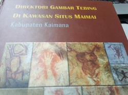 Melihat Jejak Purba, Gambar Unik di Tebing Cadas di Maimai Kaimana