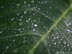 Kondensasi Adalah: Bentuk, Faktor, dan Perannya dalam Siklus Air