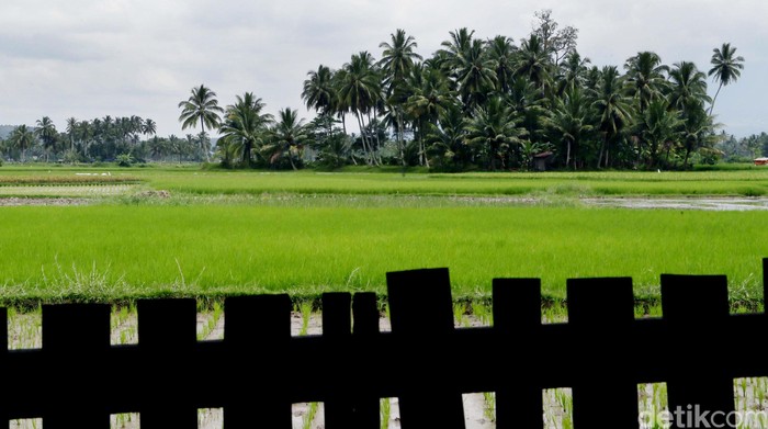 Reforma Agraria: Keadilan Penguasaan Tanah di Indonesia