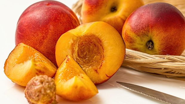 khasiat biji aprikot untuk wanita