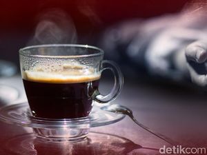 Cerita Kopi Durian Bikin Orang Sakit Juga Pernah Heboh di Malaysia Cerita Kopi Durian Bikin Orang Sakit Juga Pernah Heboh di Malaysia