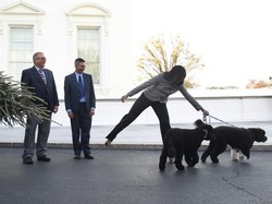 Secret Service Tangkap Pria AS yang Berniat Culik Anjing Keluarga Obama