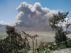 Warga Tengger Tetap ke Lautan Pasir Bromo Meski Ada Larangan