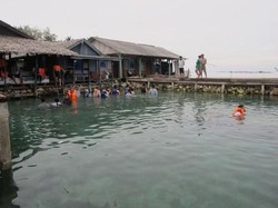 Tur Pelni Lets Go Karimun Jawa Diminati Turis
