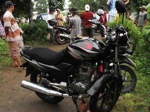 Pohon Tumbang Timpa Pengendara Motor, Satu Tewas