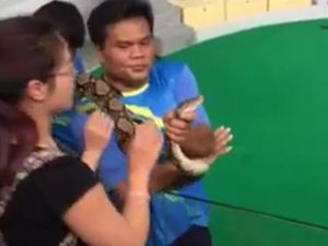 Iseng Mau Mencium, Turis di Thailand Malah Digigit Ular Piton