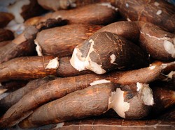 Ketahanan Pangan dari Sisi Demand