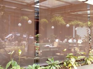 Prarekonstruksi Kasus Mirna, Kafe Olivier Ditutup Tirai Transparan