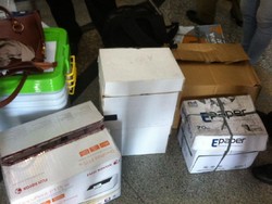 Pemohon Sengketa Pilkada Kabupaten Asmat Sertakan Lebih dari 100 Bukti Baru