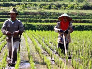 Hijaunya Alam Ciwidey, Bikin Pengen Balik Lagi!