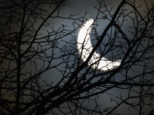 Catat! Ini Jadwal Gerhana Matahari Parsial di Jakarta dan Jabar