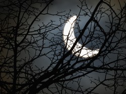 Catat! Ini Jadwal Gerhana Matahari Parsial di Jakarta dan Jabar