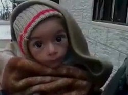 Kelaparan, Warga Suriah Terpaksa Makan Rumput dan Daging Kucing