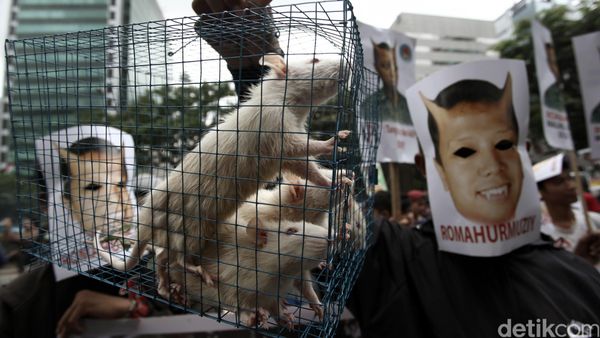 Bawa Keranda dan Tikus, Massa Demo KPK