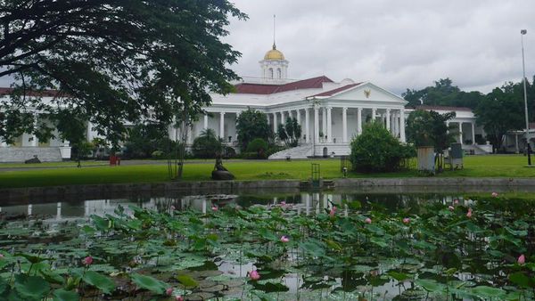 Tak Pernah Bosan ke Kebun Raya Bogor