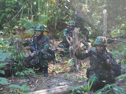 Begini Aksi Prajurit TNI Tempuh Medan Berat, Cek Patok di Perbatasan RI-Papua Nugini
