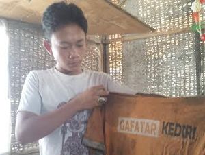 Sekeluarga ke Kalimantan Gabung Gafatar, Satu Orang Tak Kerasan