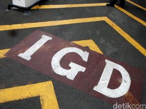 Lihat Orang Teler Berat Akibat Kecubung, Langsung Bawa ke IGD! Lihat Orang Teler Berat Akibat Kecubung, Langsung Bawa ke IGD!