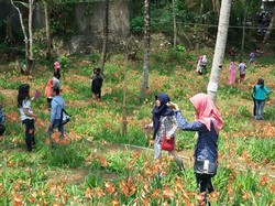 Tahun 2016, Katakan Tidak Untuk Vandalisme