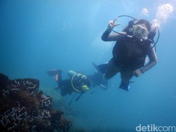 Gemar Menyelam dan Surfing? Begini Trik untuk Cegah Eksostosis Telinga