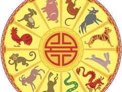 Ramalan 12 Shio Tahun 2020, Siapa Beruntung dan Sial? (Bag. 2)