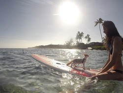 Gemas! Kucing Ini Senang Sekali Surfing di Pantai Hawaii