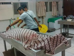 Uang Jadi Motif Sigit Tusuk Ibunya Hingga Tewas