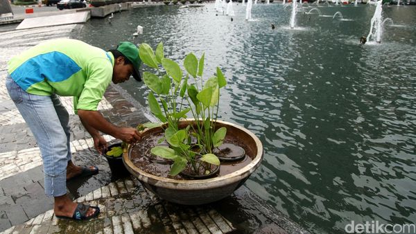 Perawatan Taman Bundaran HI
